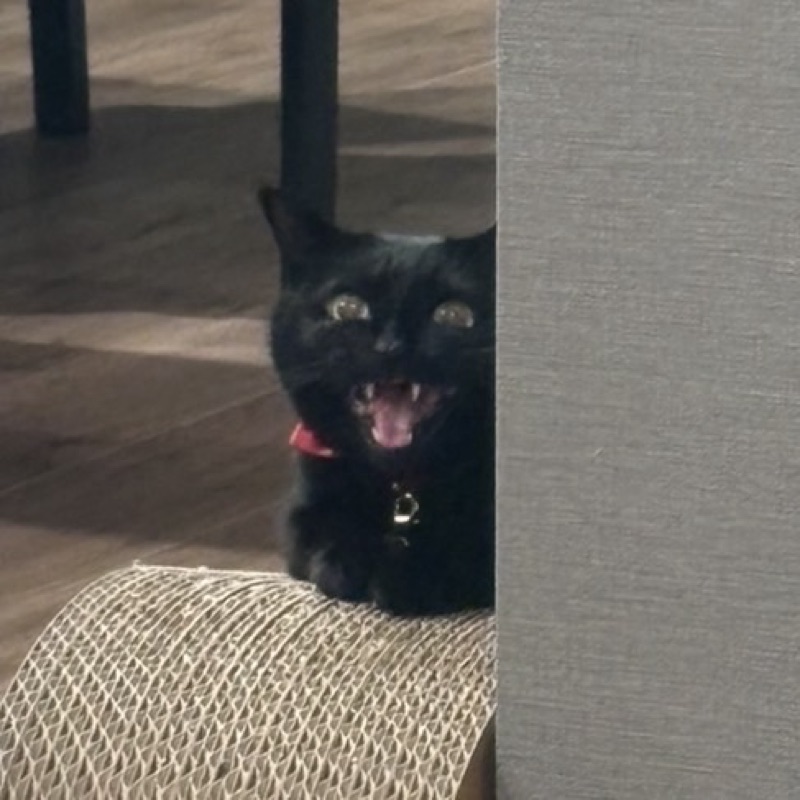 れいな