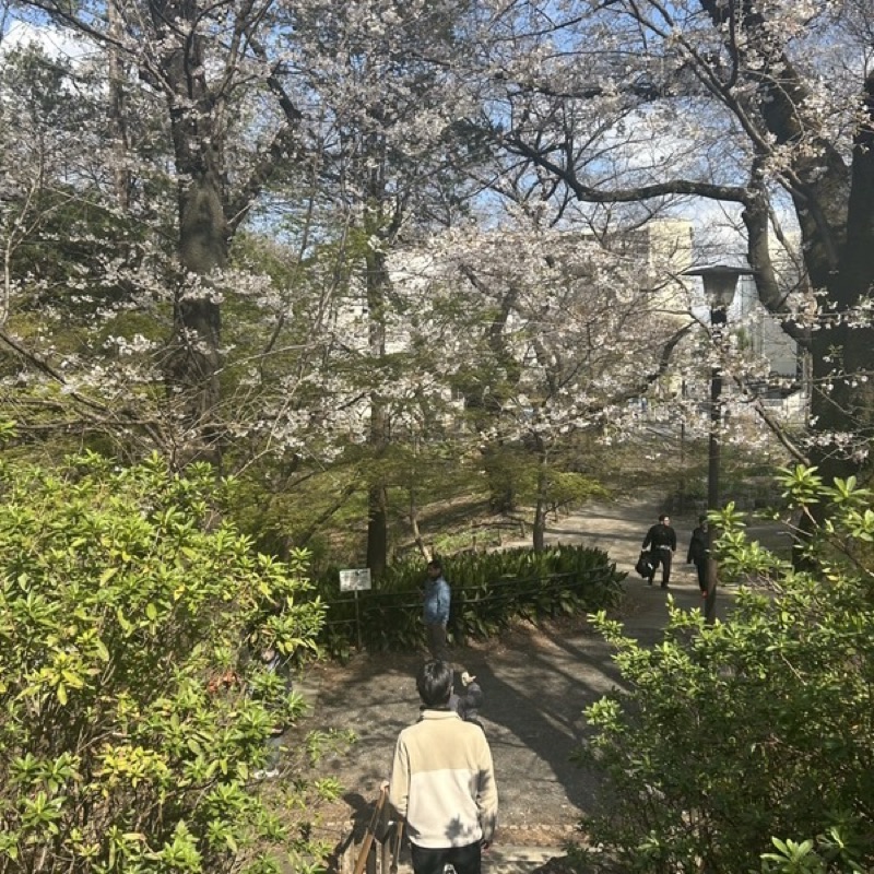 片山　昌久