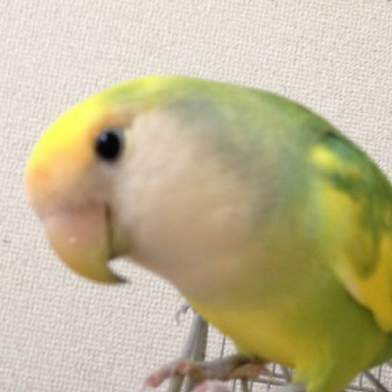 一ノ瀬久美子
