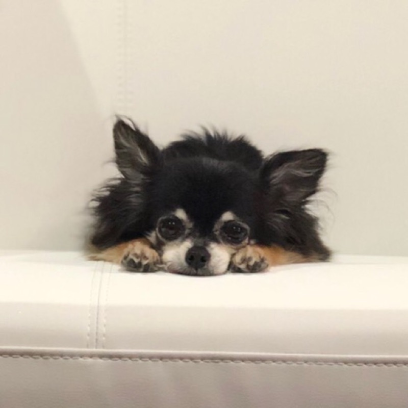 り