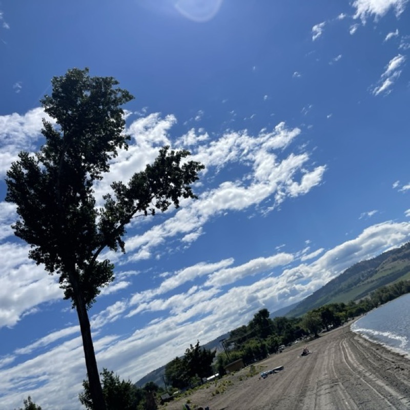 田中