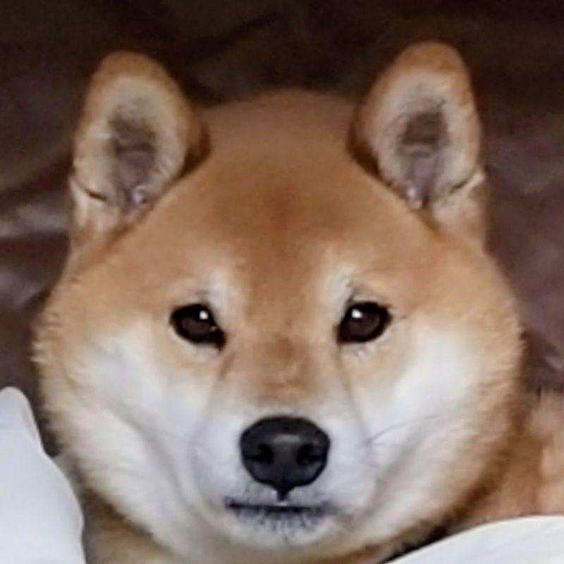 永峯啓子