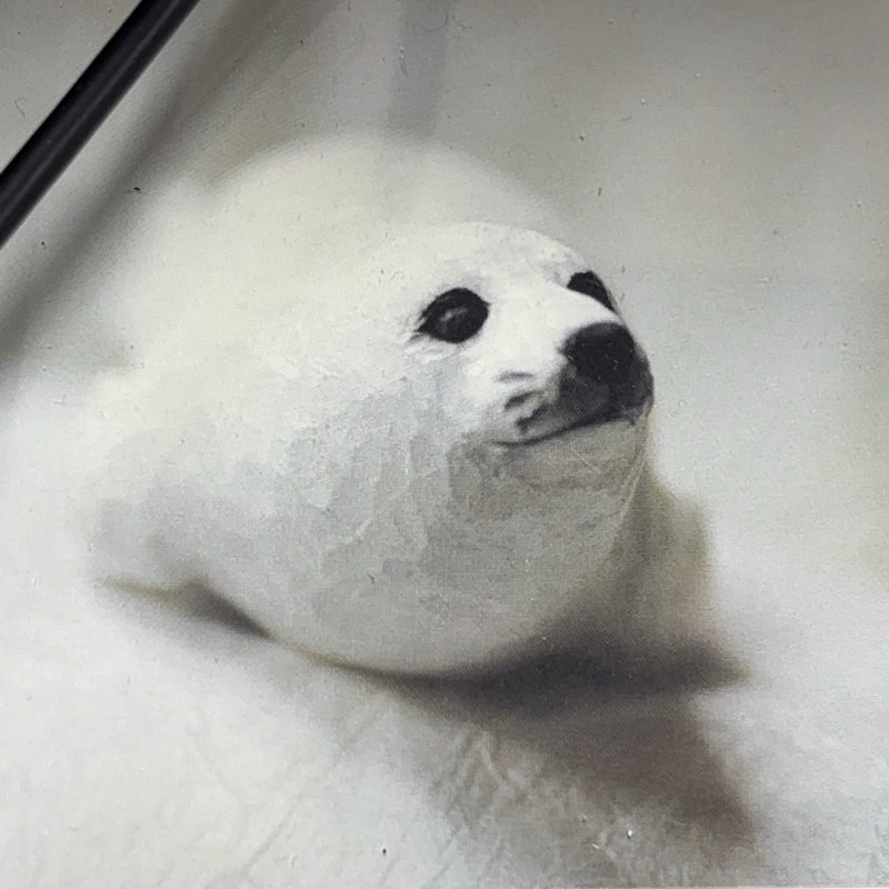 青栁惠子