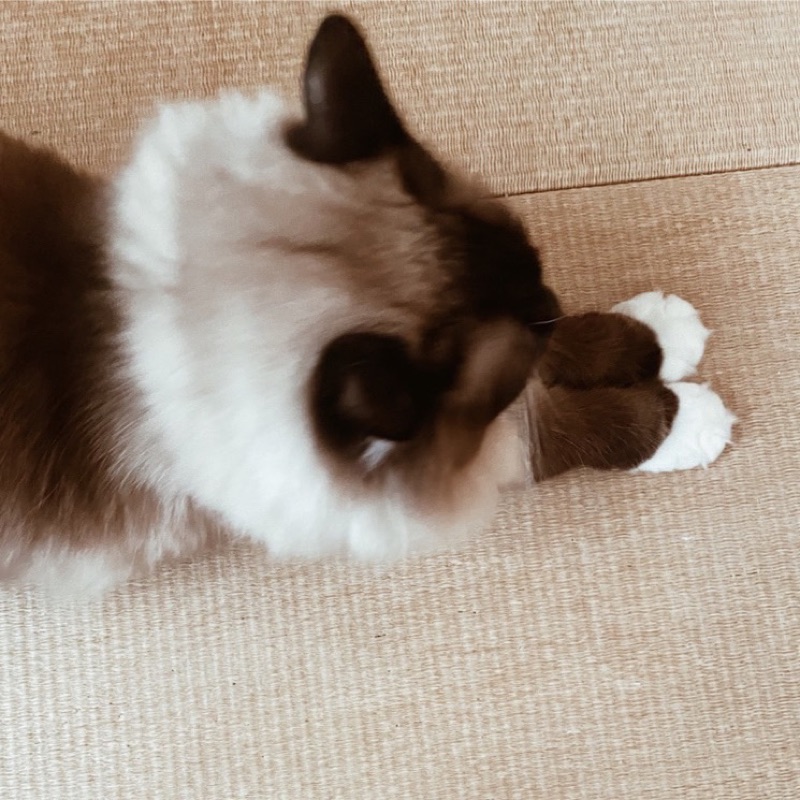 あき
