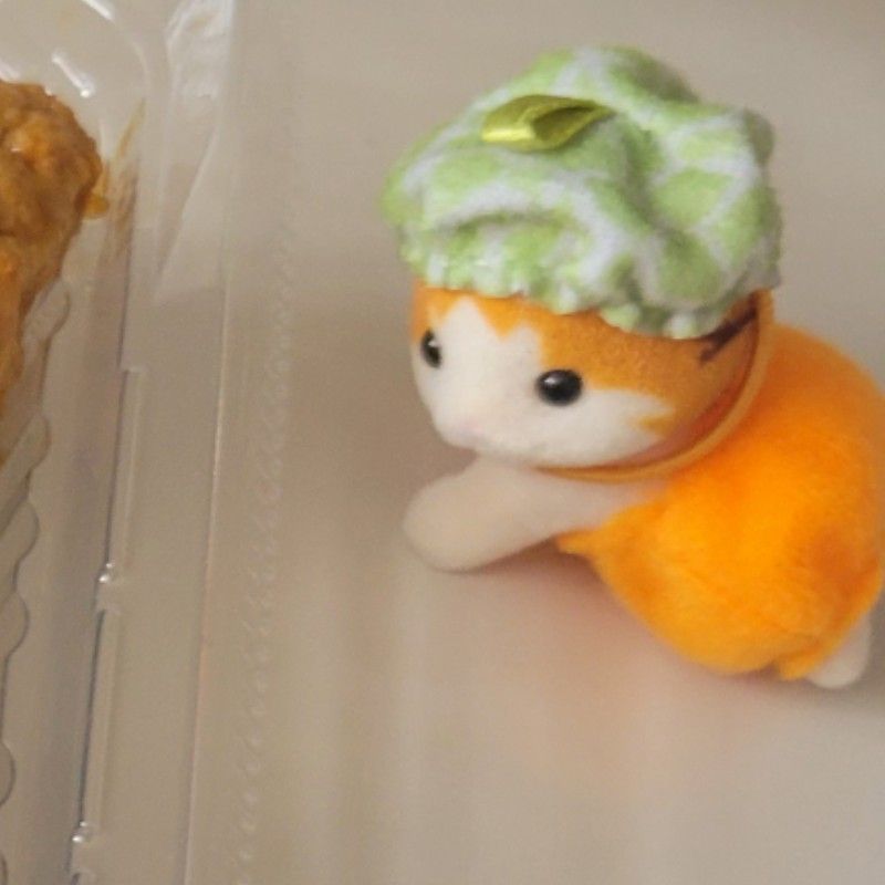リちゃん