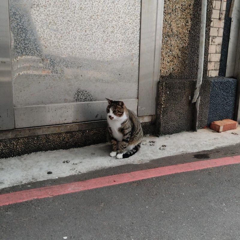 渡部　陵瑛