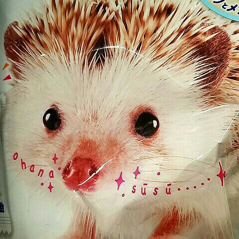 やまかわ