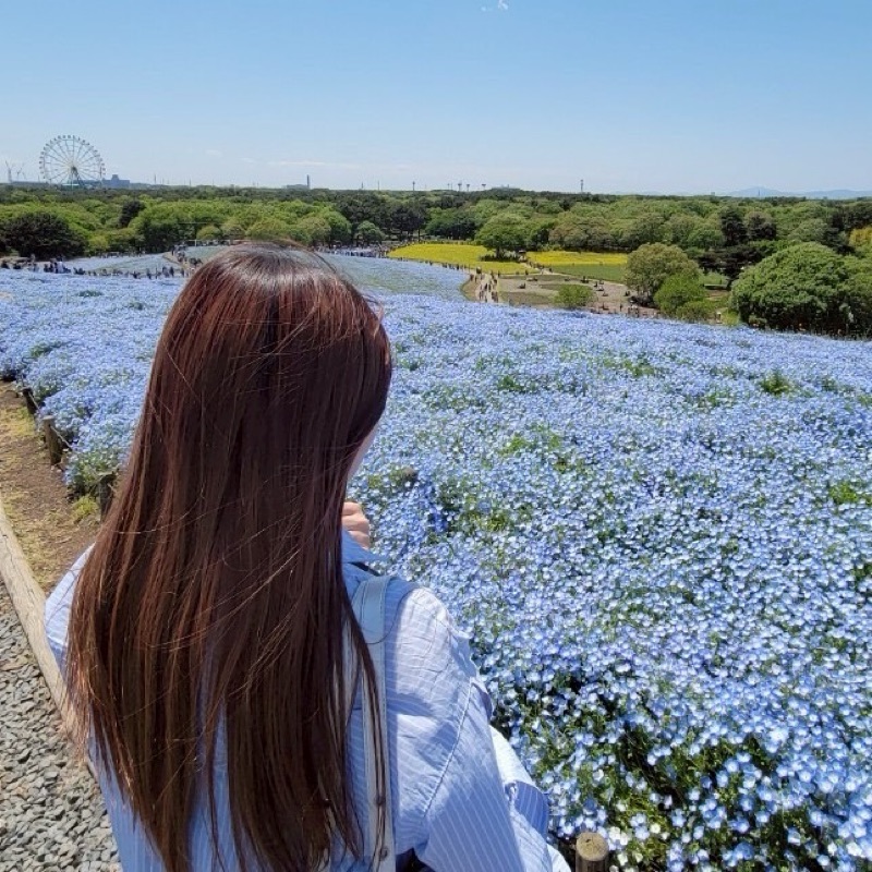 岡本 萌枝