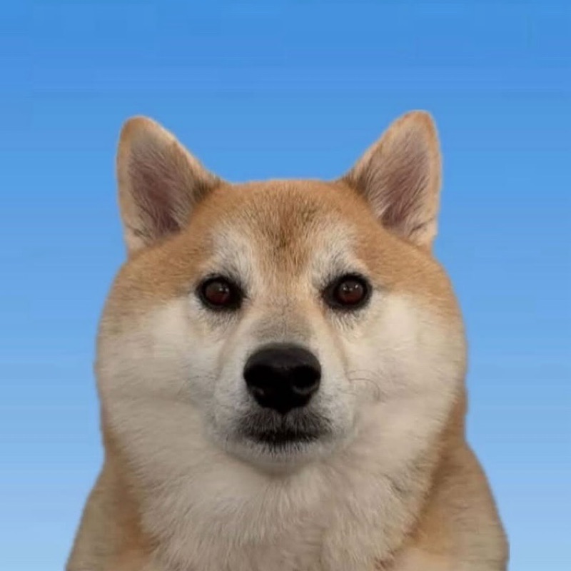入月 魁都