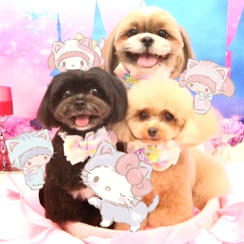 NM