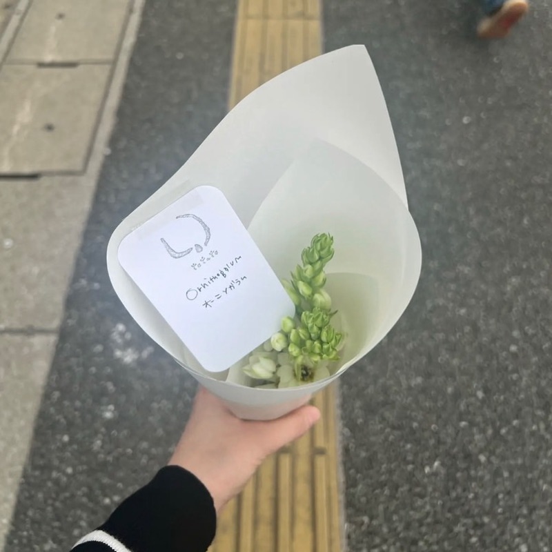 崎田 真央