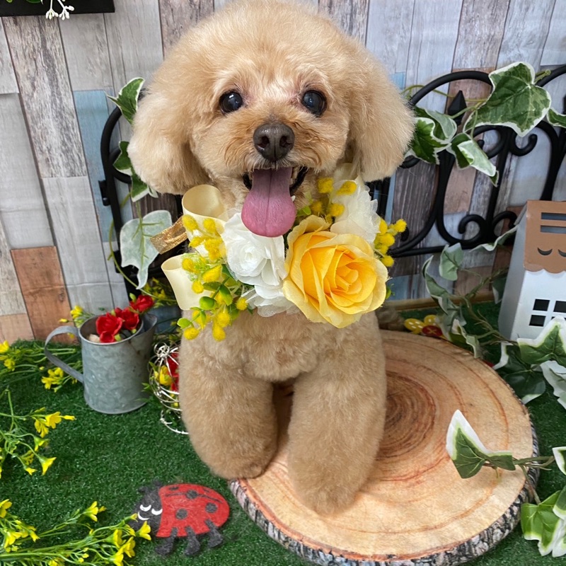 久恵