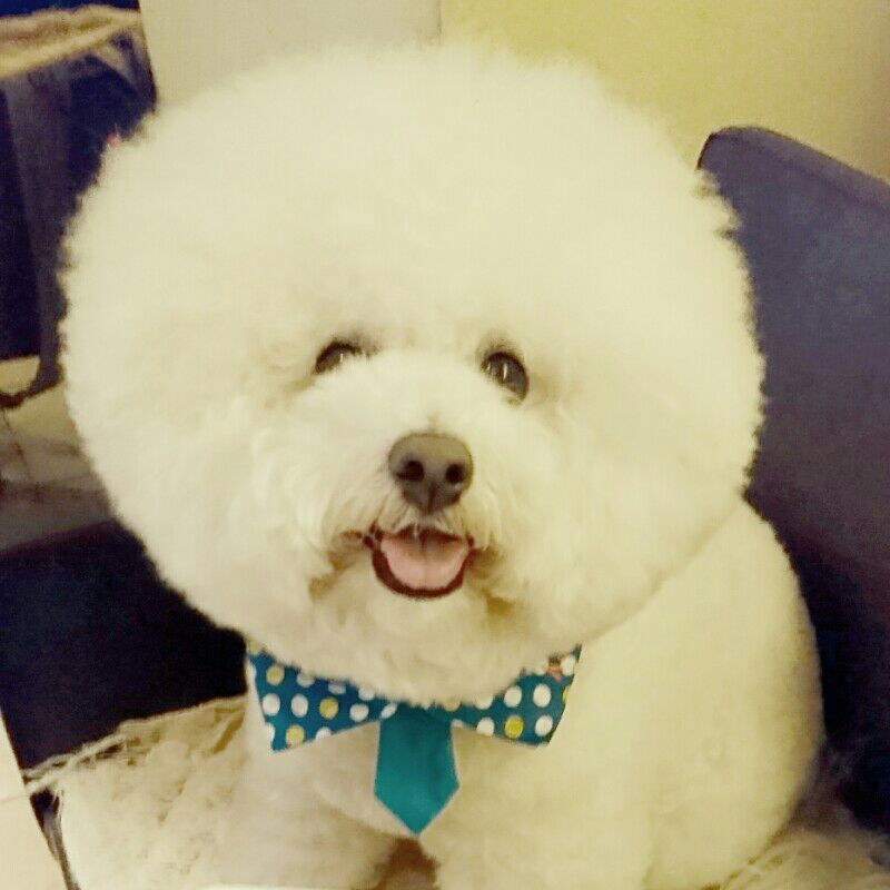 阿部仁美
