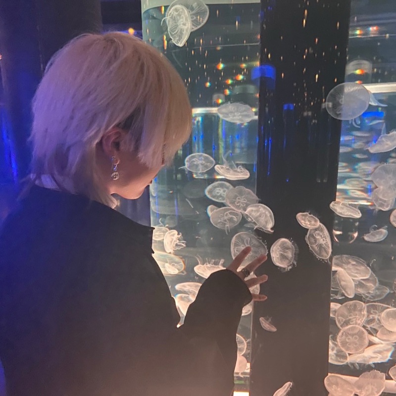 椎名聖斗