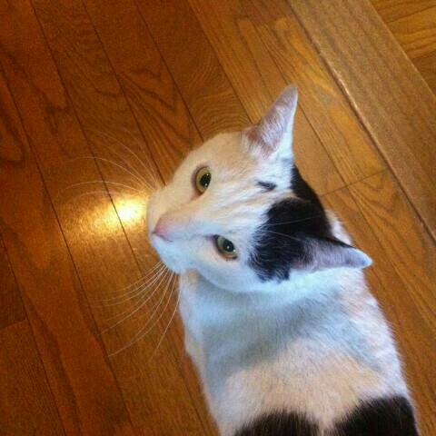 まさみ
