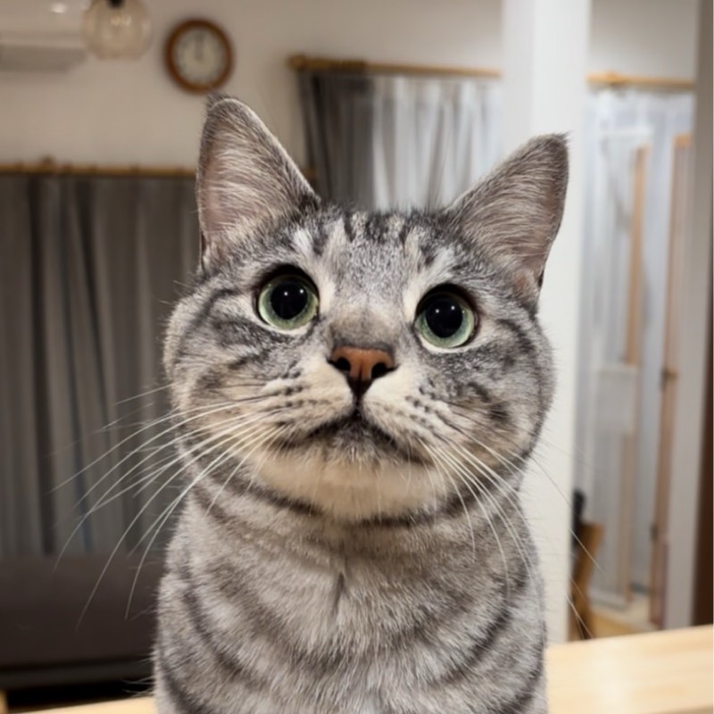 川口彩子