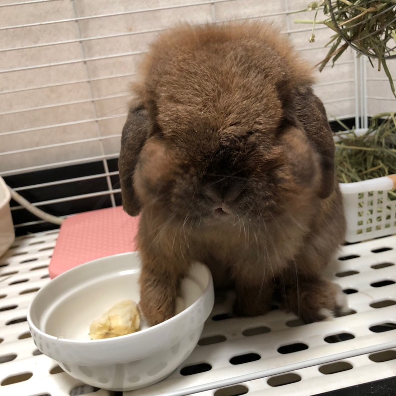 下山麻弥