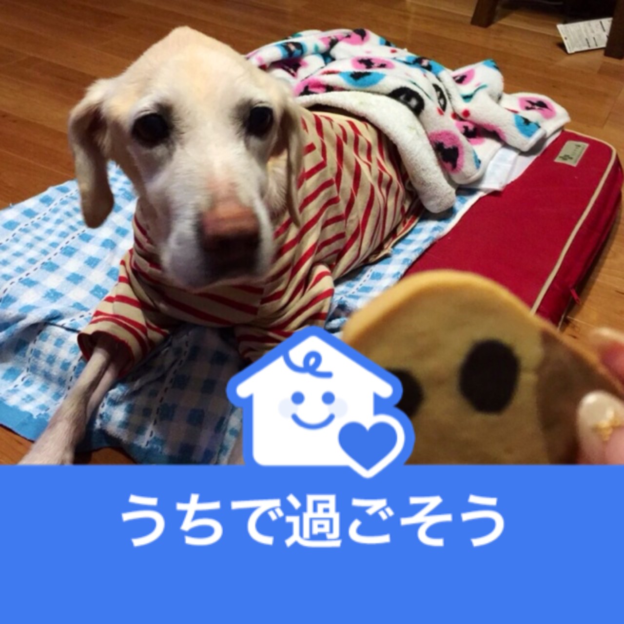 よっちゃん