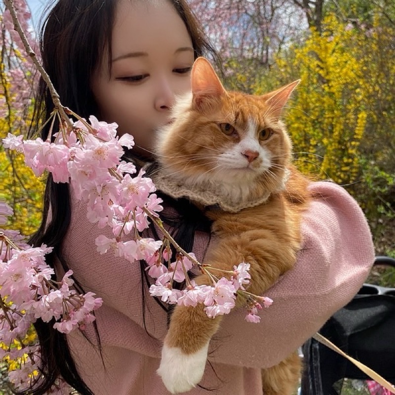 ねこ
