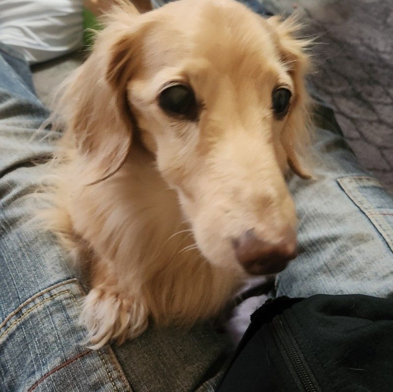 aika