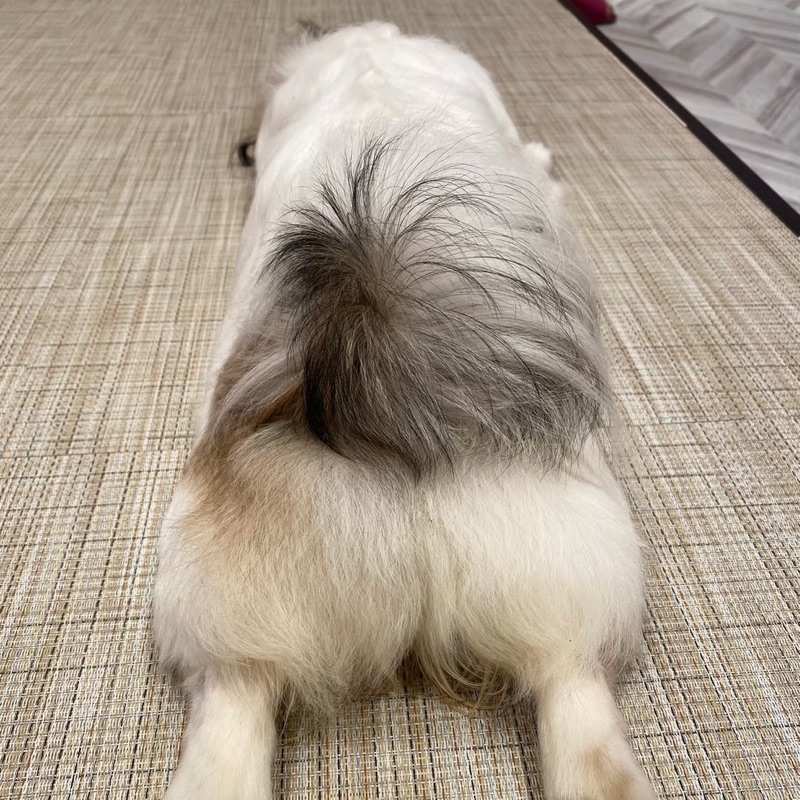 ひびき