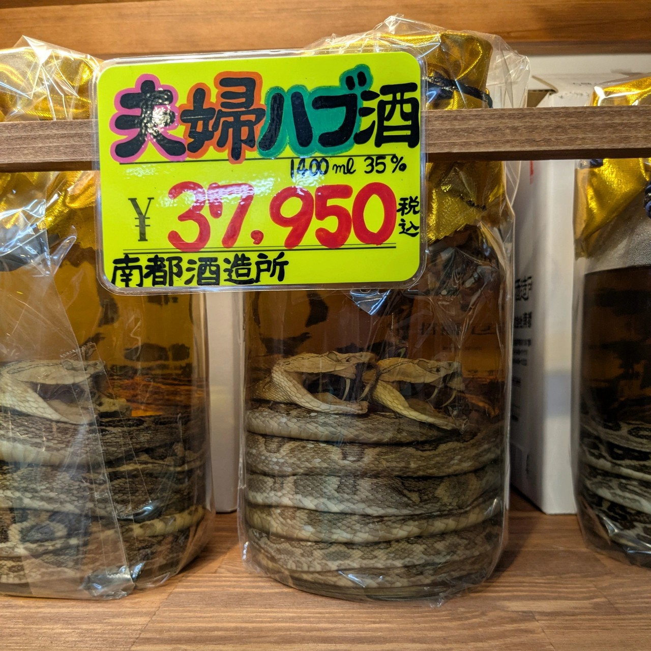 坂口侑太朗