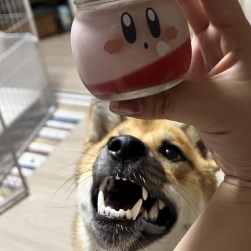 なつ🐕