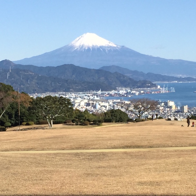 まつ