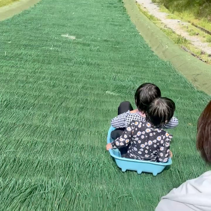 ひご