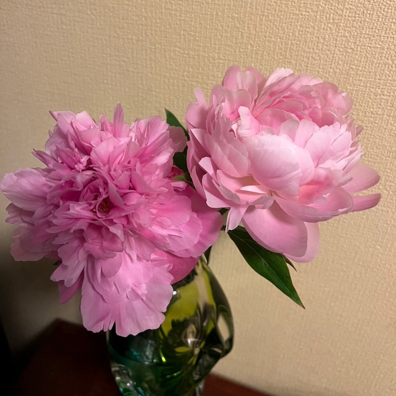 ゆえ