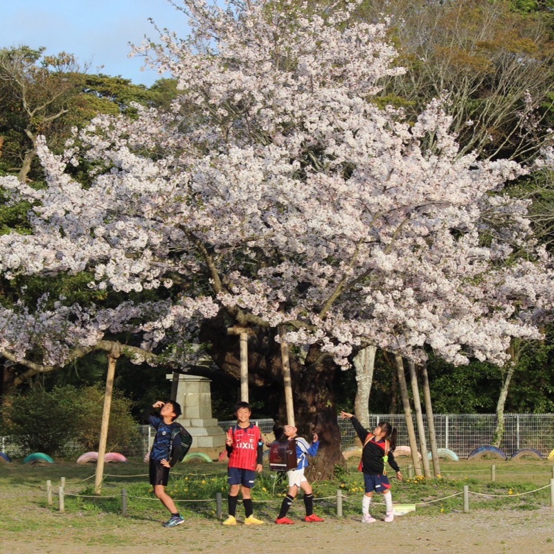 みの