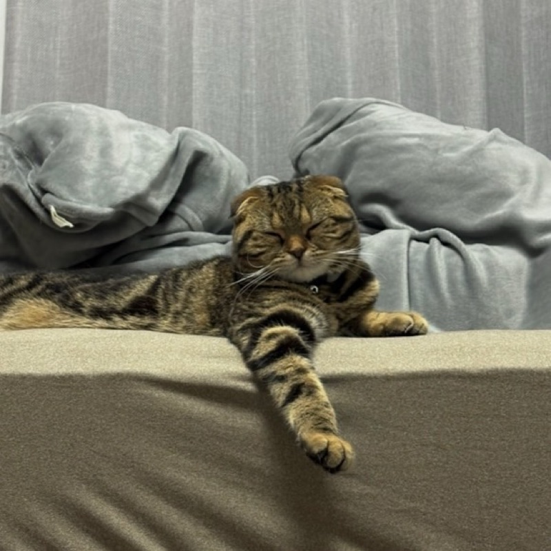 ねを