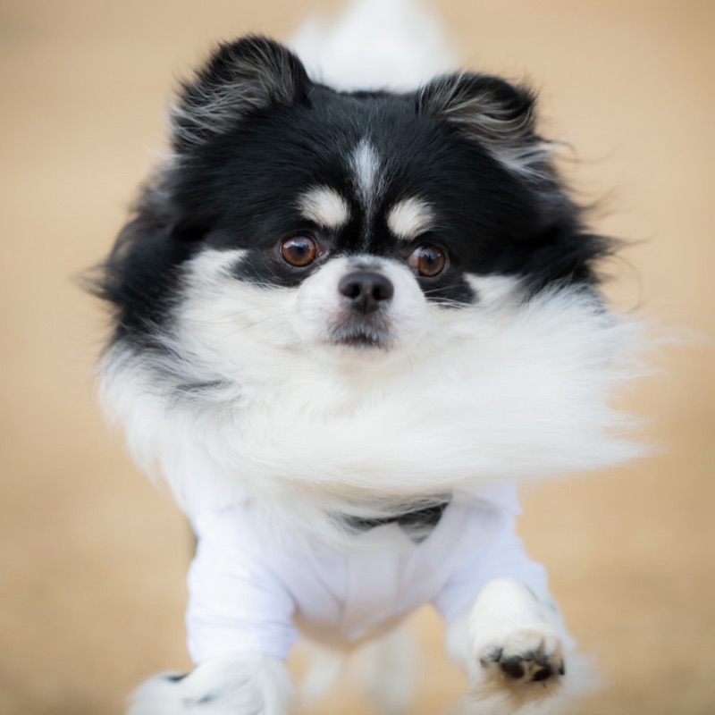 ヒナコ