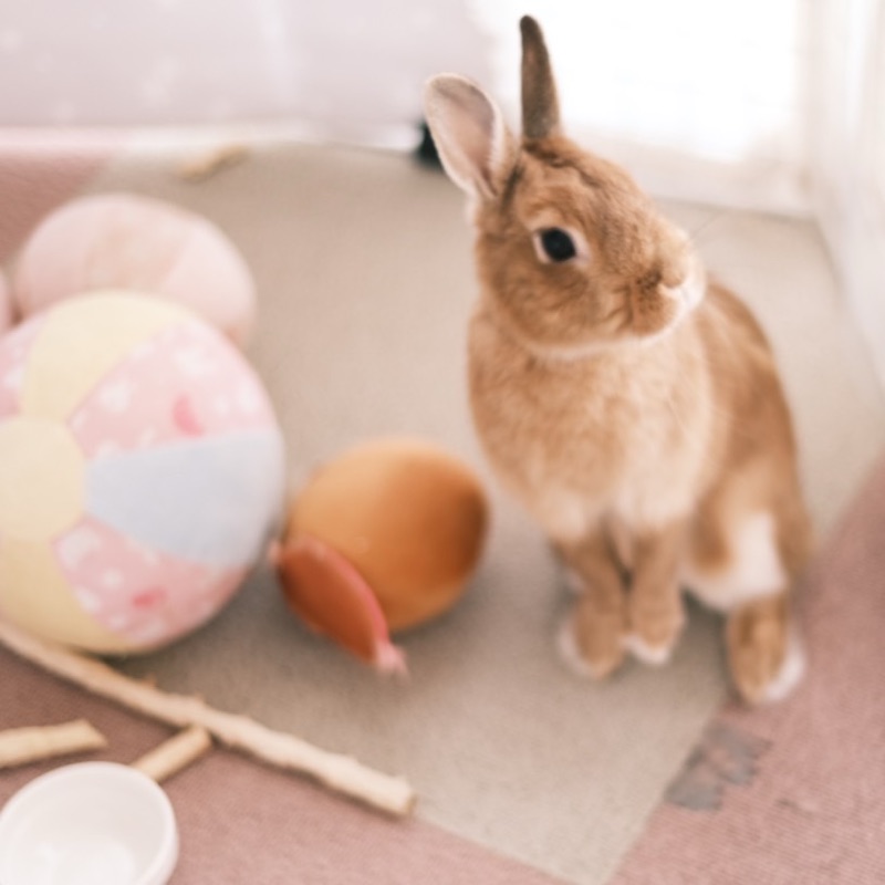 ひらさわ