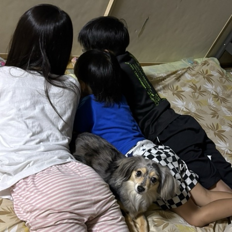 中里木乃美