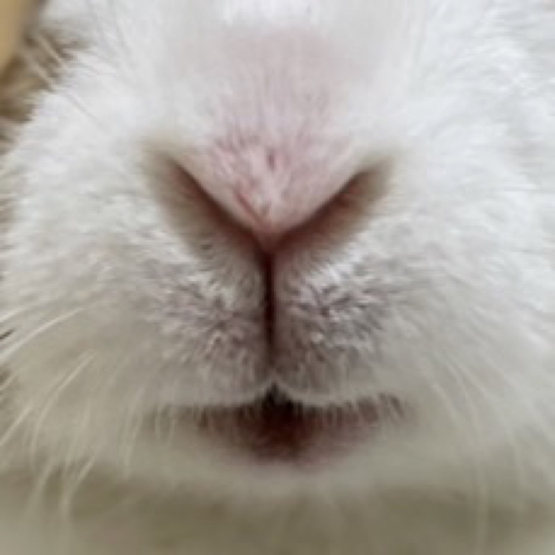 ma