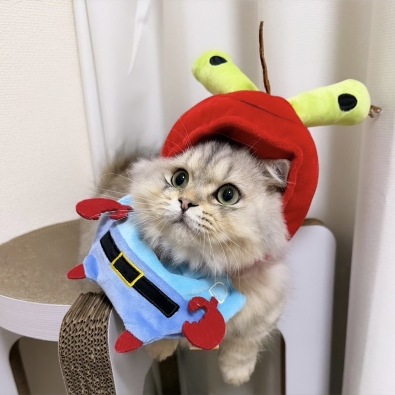 高科結衣