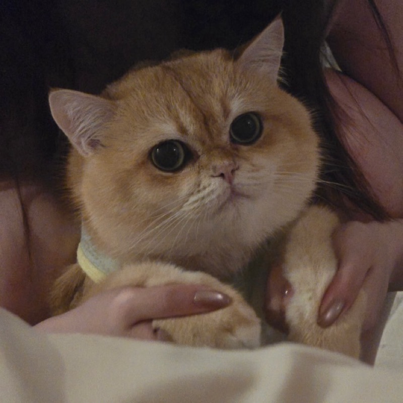 かすも