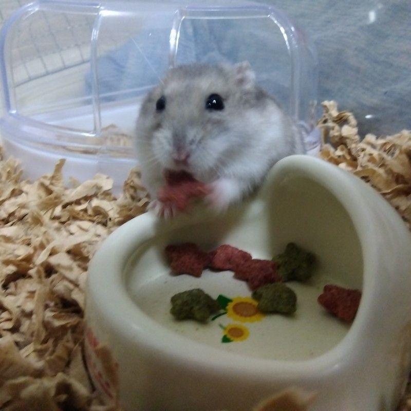 まなみ