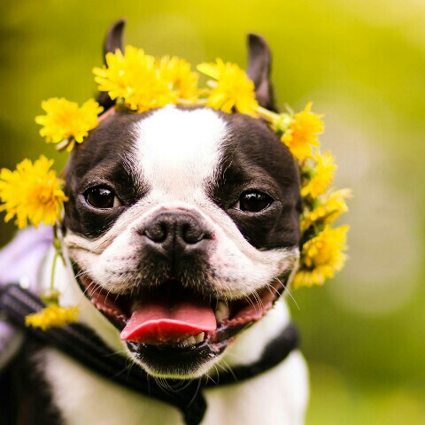 あまりん🍓食べたい