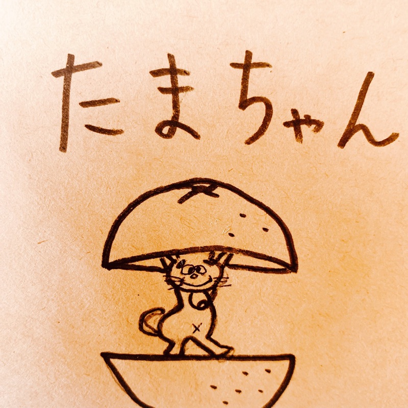 TACHI・T