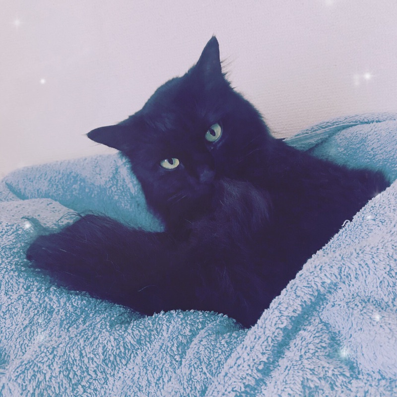 ハニー