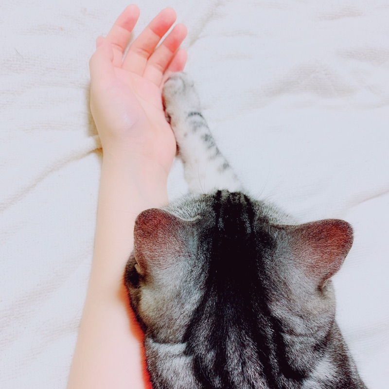 さほ