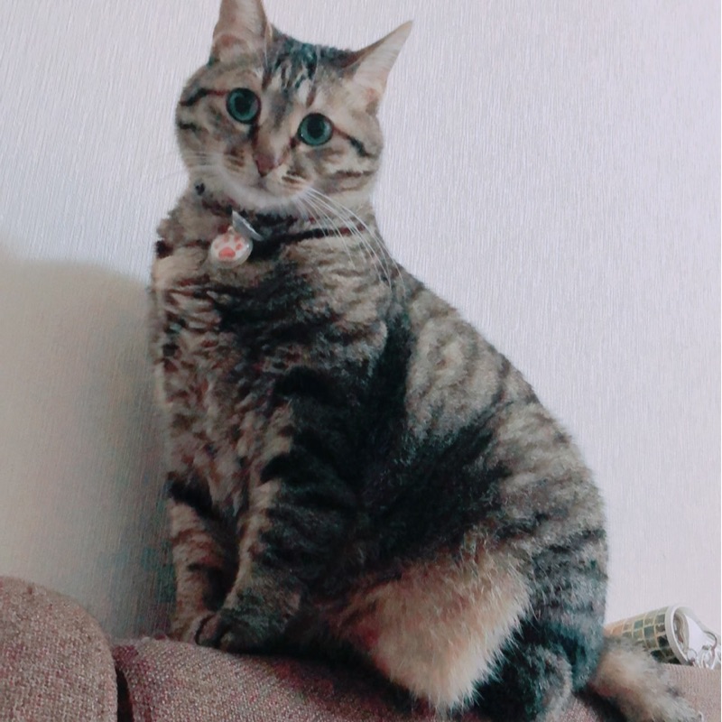 さとう