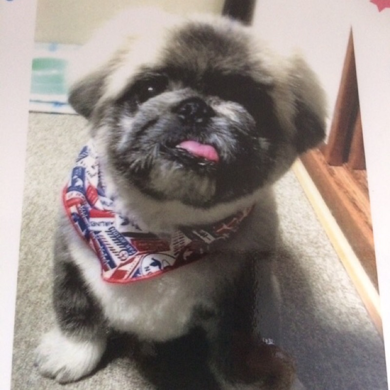 橋本八千代