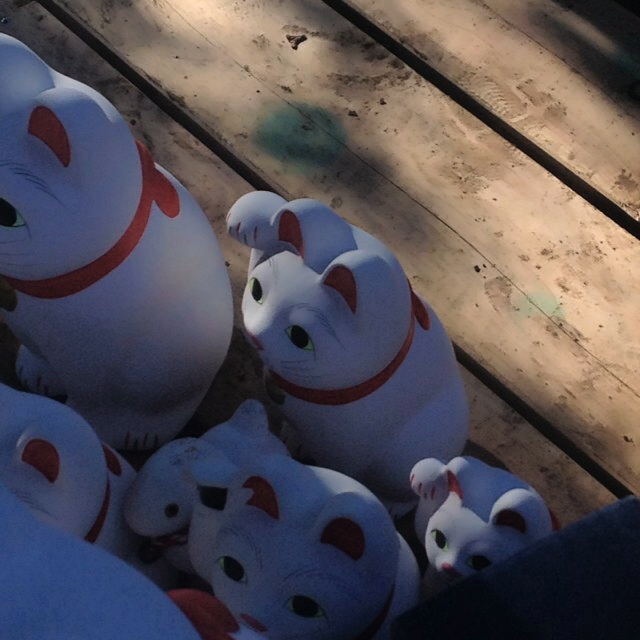 河田　貴子