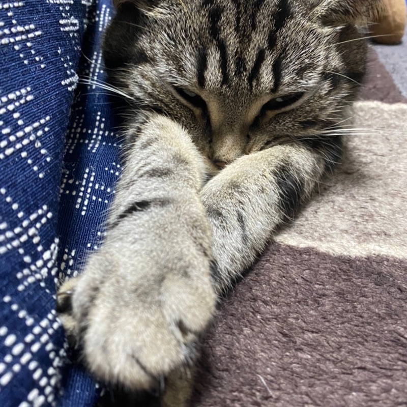 小和田