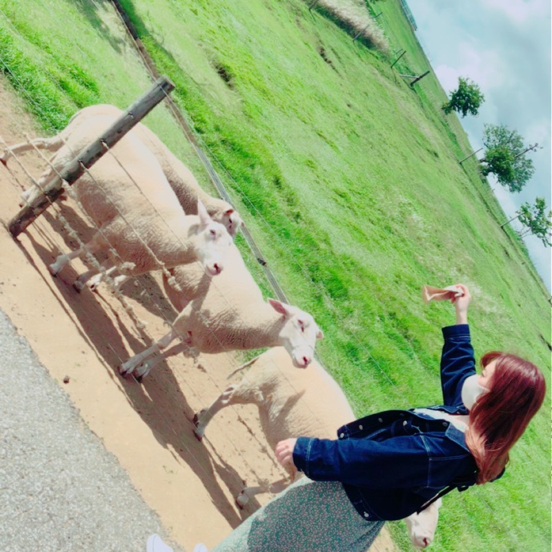 ayami