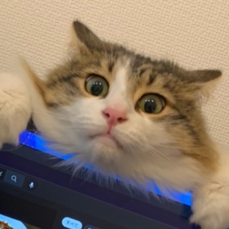 ひな