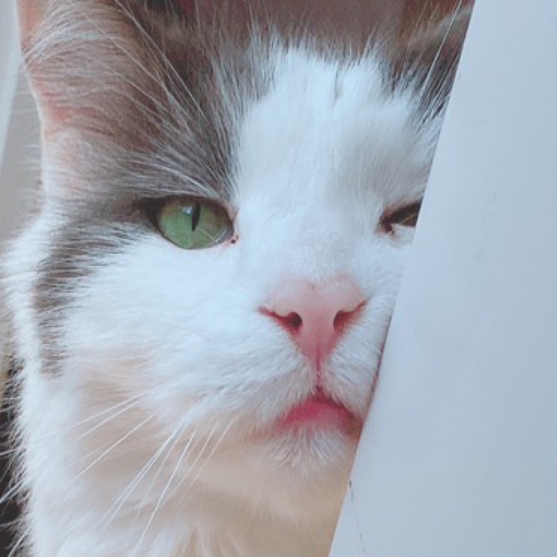 坊